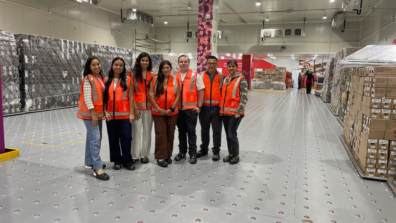 Programa DELFIN - Imagen 4